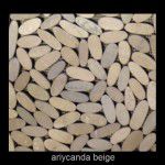 ariycanda beige