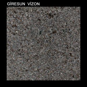 giresun_vizon