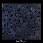 Toros_Black