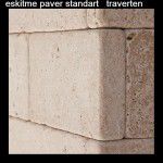 paver_eskitme