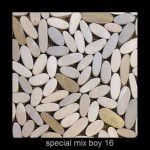 special mix 1