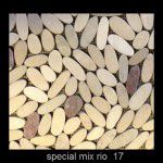 special mix rio