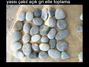 acikgri_yassil_elle toplama